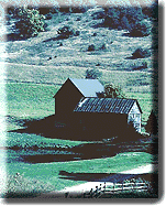Latham, Cohoes Real Estate