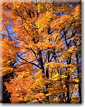 adirondack canoeing, canoe maps