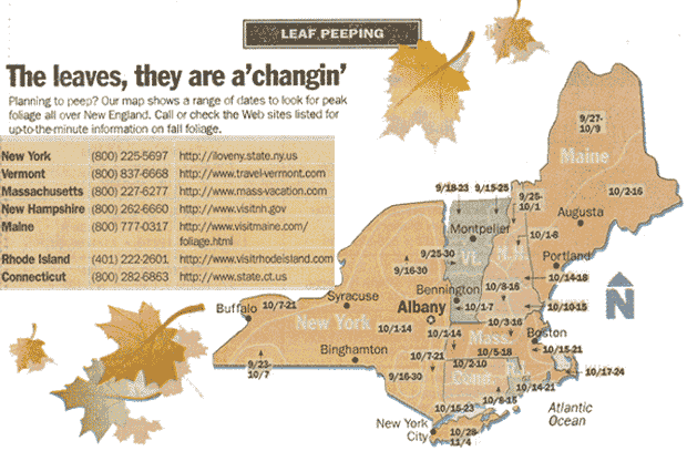 Autumn Fall Leaves Chart