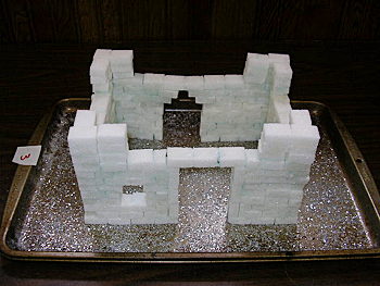 pic5