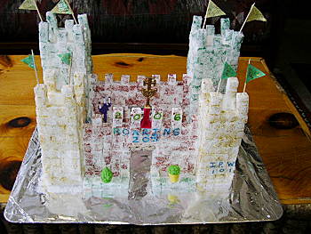 pic9
